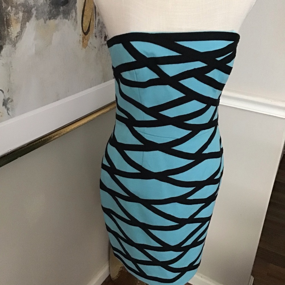 Cynthia Steffe Dress Size 4